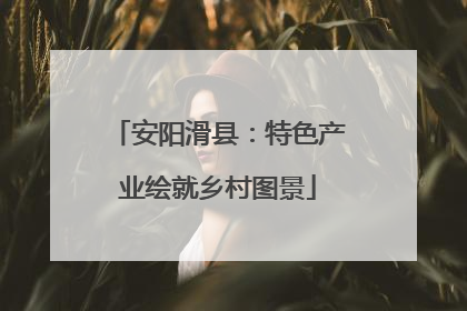 安阳滑县：特色产业绘就乡村图景