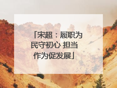 宋超：履职为民守初心 担当作为促发展