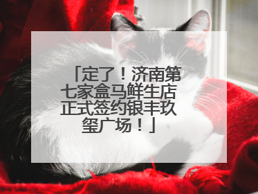 定了！济南第七家盒马鲜生店正式签约银丰玖玺广场！