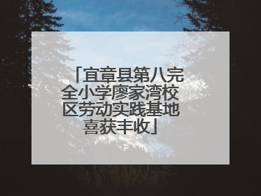 宜章县第八完全小学廖家湾校区劳动实践基地喜获丰收