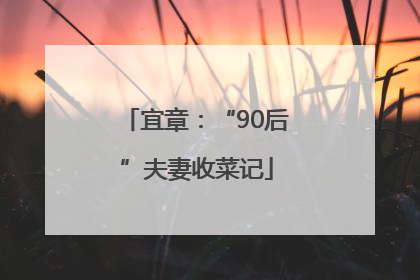 宜章：“90后”夫妻收菜记