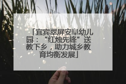 宜宾翠屏安阜幼儿园：“红烛先锋”送教下乡，助力城乡教育均衡发展
