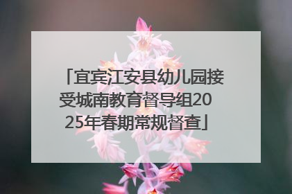 宜宾江安县幼儿园接受城南教育督导组2025年春期常规督查