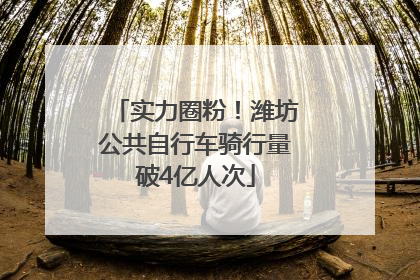 实力圈粉！潍坊公共自行车骑行量破4亿人次