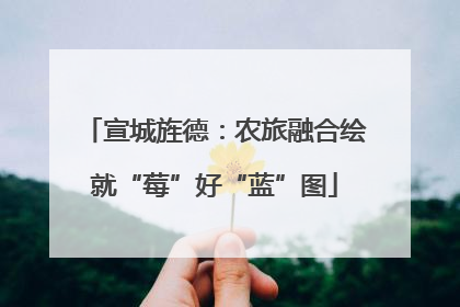 宣城旌德：农旅融合绘就“莓”好“蓝”图