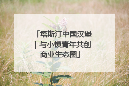 塔斯汀中国汉堡｜与小镇青年共创商业生态圈