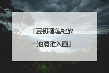 夏初睡莲绽放 一池清雅入画