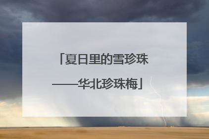 夏日里的雪珍珠——华北珍珠梅