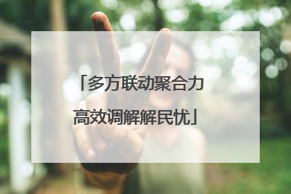 多方联动聚合力 高效调解解民忧