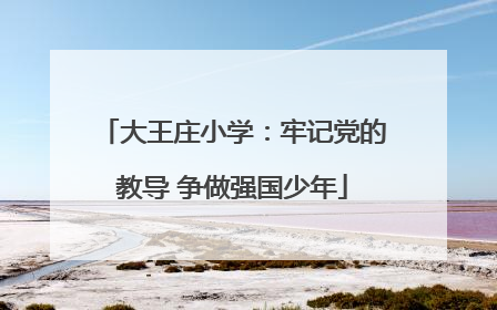 大王庄小学：牢记党的教导 争做强国少年