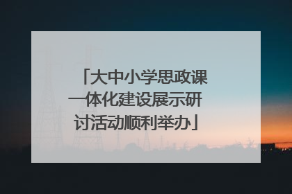 大中小学思政课一体化建设展示研讨活动顺利举办