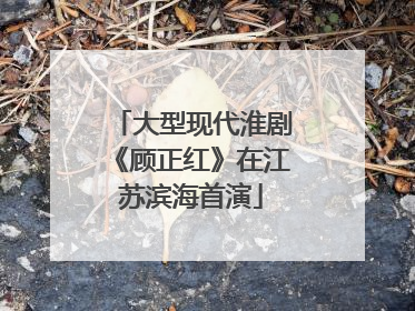 大型现代淮剧《顾正红》在江苏滨海首演