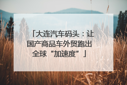 大连汽车码头：让国产商品车外贸跑出全球“加速度”