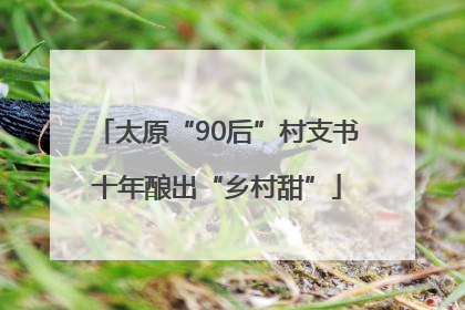 太原“90后”村支书十年酿出“乡村甜”