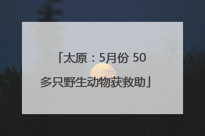 太原：5月份 50多只野生动物获救助