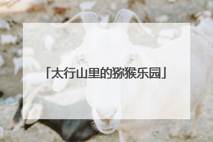 太行山里的猕猴乐园