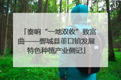 奏响“一地双收”致富曲——鄄城县董口镇发展特色种植产业侧记