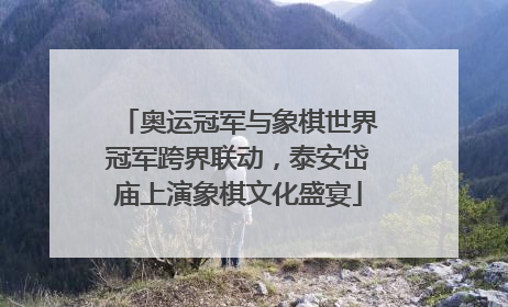 奥运冠军与象棋世界冠军跨界联动，泰安岱庙上演象棋文化盛宴