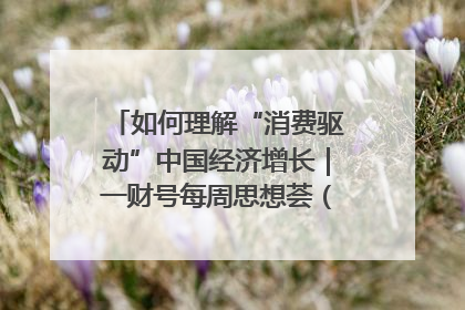如何理解“消费驱动”中国经济增长｜一财号每周思想荟（第22期）
