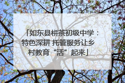 如东县栟茶初级中学：特色深耕 托管服务让乡村教育“活”起来