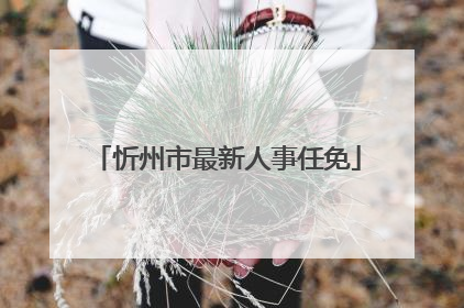 忻州市最新人事任免