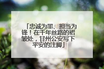 忠诚为墨、担当为锋！在千年丝路的褶皱处，甘州公安写下平安的注脚
