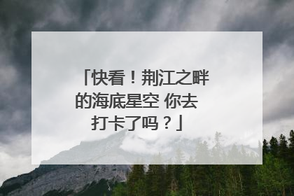 快看！荆江之畔的海底星空 你去打卡了吗？