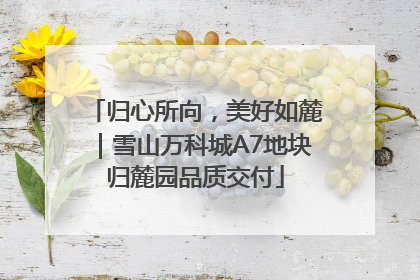 归心所向，美好如麓｜雪山万科城A7地块归麓园品质交付