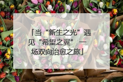 当“新生之光”遇见“希望之翼” 一场双向治愈之旅