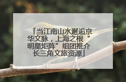 当江南山水邂逅京华文脉，上海之根“明星矩阵”组团推介长三角文旅资源