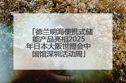 德兰明海便携式储能产品亮相2025年日本大阪世博会中国馆深圳活动周