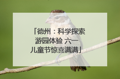 德州：科学探索 游园体验 六一儿童节惊喜满满