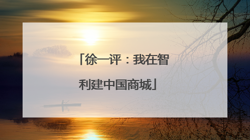 徐一评：我在智利建中国商城