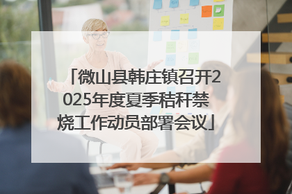 微山县韩庄镇召开2025年度夏季秸秆禁烧工作动员部署会议