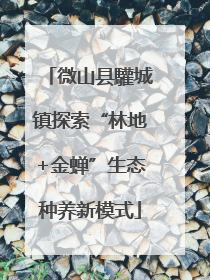 微山县驩城镇探索“林地+金蝉”生态种养新模式