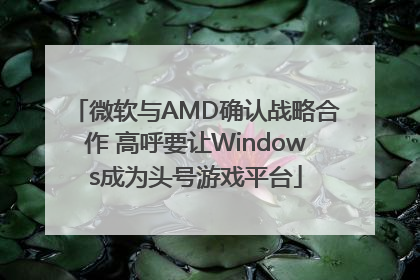 微软与AMD确认战略合作 高呼要让Windows成为头号游戏平台