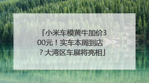 小米车模黄牛加价300元！实车本周到店？大湾区车展将亮相