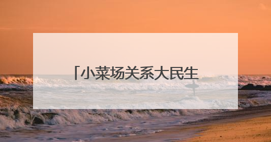 小菜场关系大民生！晨报小记者体验“小小市场监管员”