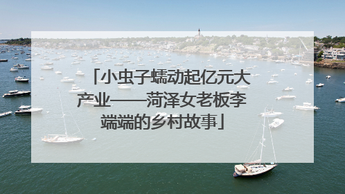 小虫子蠕动起亿元大产业——菏泽女老板李端端的乡村故事