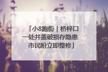 小8跑街｜桥梓口一处井盖破损存隐患 市民盼立即整修