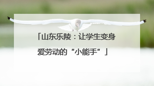 山东乐陵：让学生变身爱劳动的“小能手”