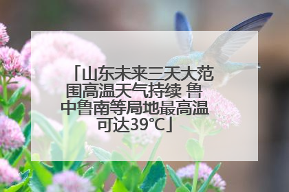 山东未来三天大范围高温天气持续 鲁中鲁南等局地最高温可达39℃