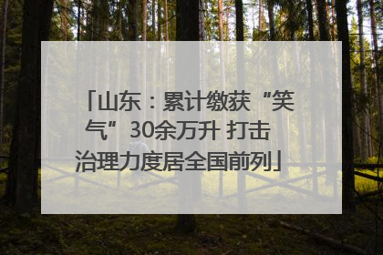 山东：累计缴获“笑气”30余万升 打击治理力度居全国前列