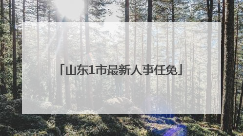 山东1市最新人事任免