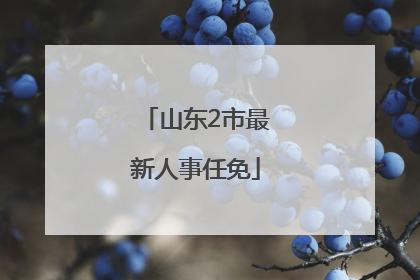 山东2市最新人事任免