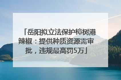 岳阳拟立法保护樟树港辣椒：提供种质资源需审批，违规最高罚5万