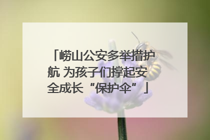 崂山公安多举措护航 为孩子们撑起安全成长“保护伞”