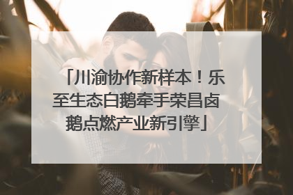 川渝协作新样本！乐至生态白鹅牵手荣昌卤鹅点燃产业新引擎