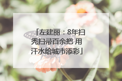 左建丽：8年扫秃扫帚百余把 用汗水给城市添彩