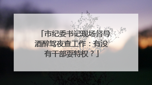 市纪委书记现场督导酒醉驾夜查工作：有没有干部耍特权？